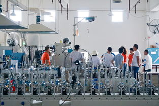 走读湖南洞口经济开发区采风,雪峰山下产业兴工厂在这里发展有前途