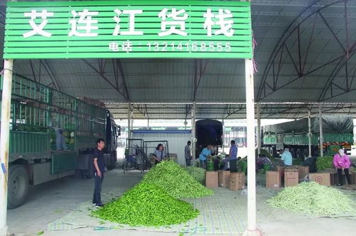 辽宁农产品交易集团 乡村振兴中的供销力量