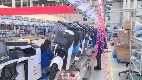 稳经济强信心 宁河在行动丨哈啰 天津 超级工厂 企业车间热火朝天 产品生产快马加鞭