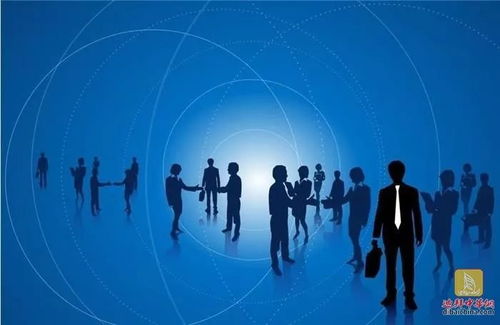 引进人才走进迪拜为 一带一路 上的迪拜企业保驾护航