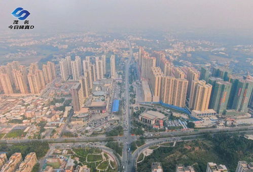 茂名油十路口改造前期采购结果出炉,东环大道勘察设计招标结束