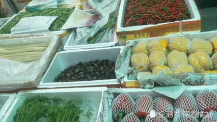 广东茂名将建大湾区“菜篮子”配送中心,占地面积为586667平方米