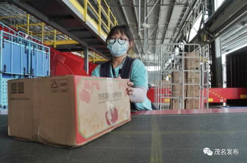 厉害 茂名荔枝卖到意大利 德国 法国等25个国家和地区