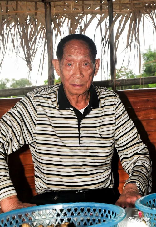 缅怀袁隆平,茂名记得您留下的足迹和深情