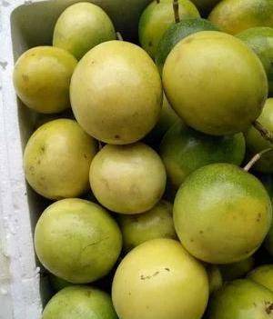 农产品批发供应商蔡广林 - 惠农网电脑版