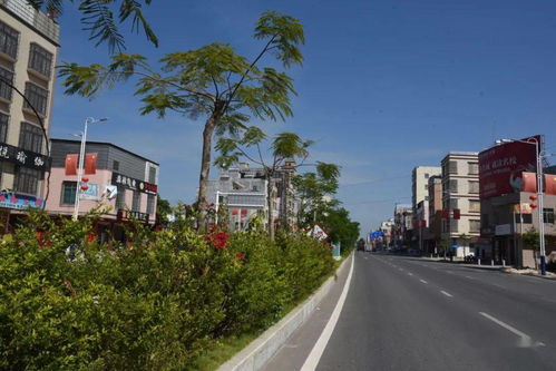 电白沙琅 投入3亿打造 精品小城市