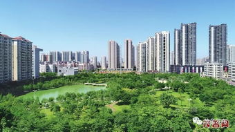 茂名 大地植绿 心中播绿 生活在茂名你感受到新变化吗