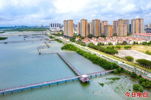电白农村人均可支配收入,居茂名市县区级第一