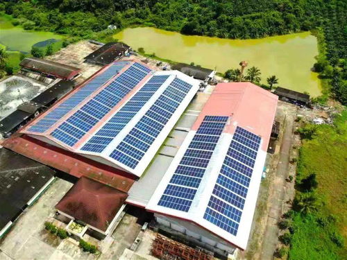 屋顶荡漾 蓝色海 ,阳光变身 绿色电