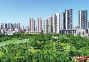 我市森林美景掠影