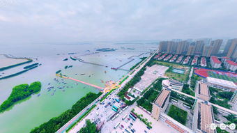 茂名太美了,值得一看