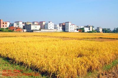 二千沙龙社区-[转帖][贴图]茂名风光之山水