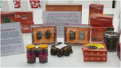 化橘红产业企业入驻茂名“国家级科技企业孵化器”