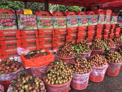 吃龙虾,品荔枝…小朋友们乐了,福田农批“红”了!