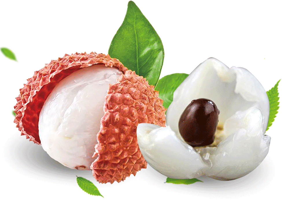 茂名及早谋划,“荔枝定制”助推荔枝产业高质量发展!