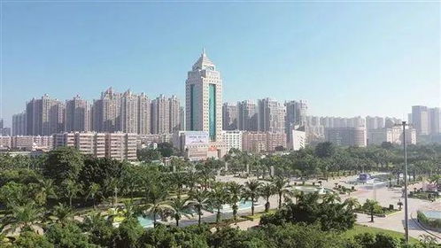 茂名市城管局调研报告 构建 大城管 格局,打造 高品质 城市