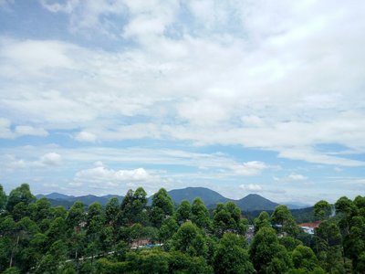 广东省茂名市信宜市东镇街道奇龙化工