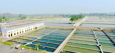 广东农业品牌经营主体发展如何 一篇话你知