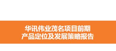 免费资料 2018广东华讯伟业茂名项目前期产品定位及发展策略报告