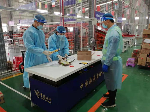 茂名海关严打象牙制品走私，今年以来查获4起案件