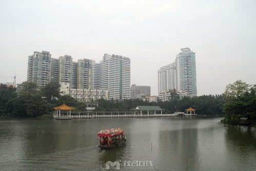 茂名佬游广州荔湾湖公园