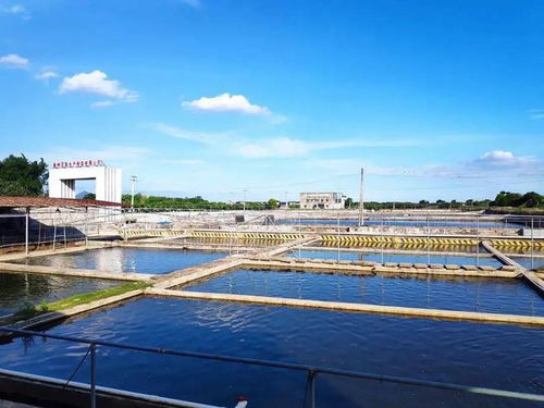 小小高州为何荣誉等身 全国百强县85位与省内县域经济第一的秘密