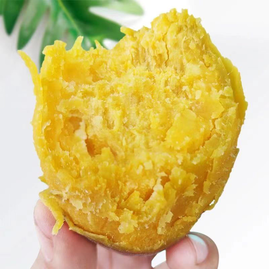 广东茂名茂南区大鲜家农产品红薯 绿色健康的地方特色