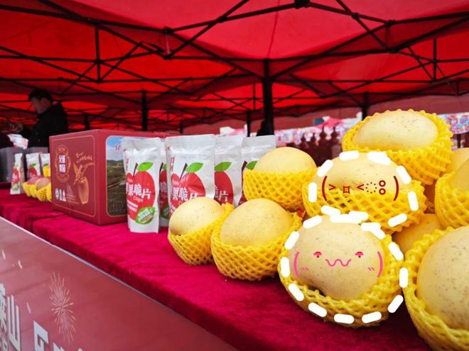 茂名 农业大市的丰收画卷