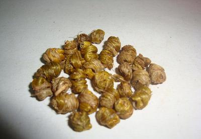 石斛（斗枫/纸皮）价格、厂家与图片——茂名市场指南