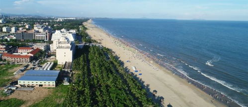茂名十大文化名片20强巡礼之五 茂名文化魅力绽放