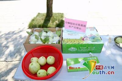 改革开放40年 茂名修复城市“伤疤”的绿色转型之路