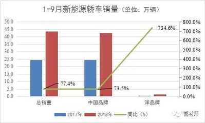 中国品牌新能源会否失守?