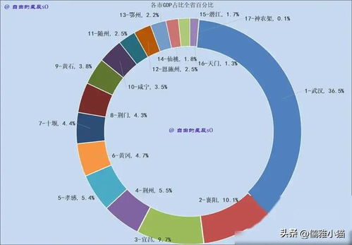 2024上半年gdp出炉,襄阳跳水武汉失速,湖北省17市,全面放缓 网易订阅