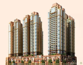 高州东方明珠 在售高层电梯洋房产品动态解析